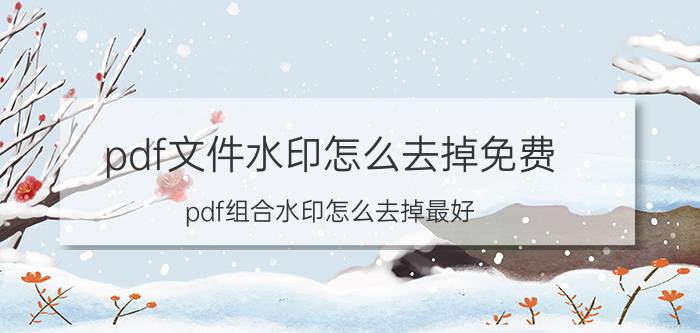 pdf文件水印怎么去掉免费 pdf组合水印怎么去掉最好？